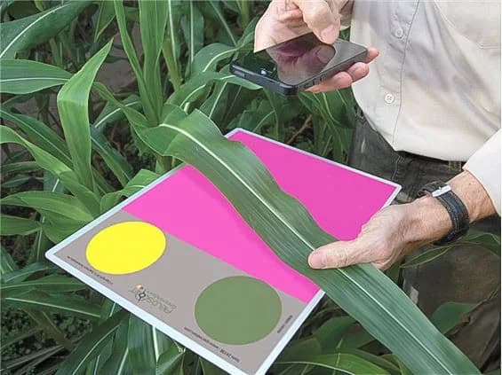 FieldScout GreenIndex+ zur Blattgrünbewertung